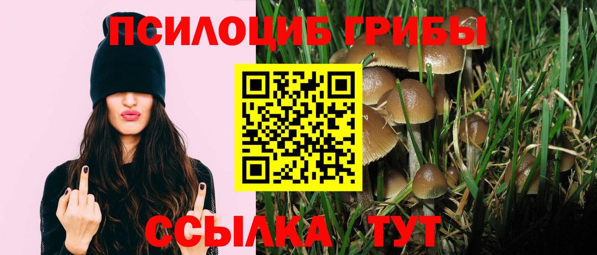 Лесосибирск  Псилоцибиновые грибы ЛСД  Галлюциногенные грибы Psilocybe  Вход с VPN 