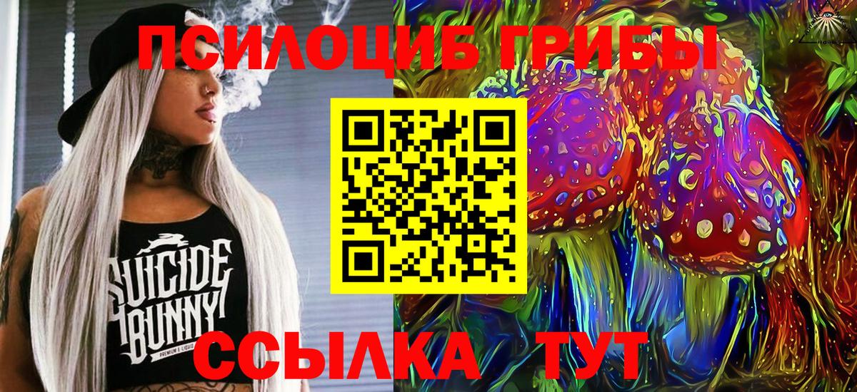 Галлюциногенные грибы Psilocybe Лесосибирск